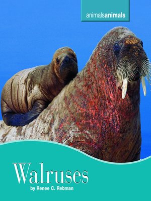 cover image of Walruses